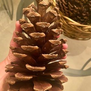🌲GA LONG LEAF PINECONES🌲HOLIDAY DECOR ART CRAFTS
